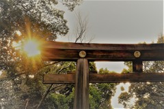 新しい時代も