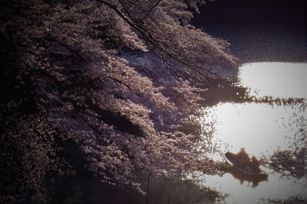 お堀の夕景