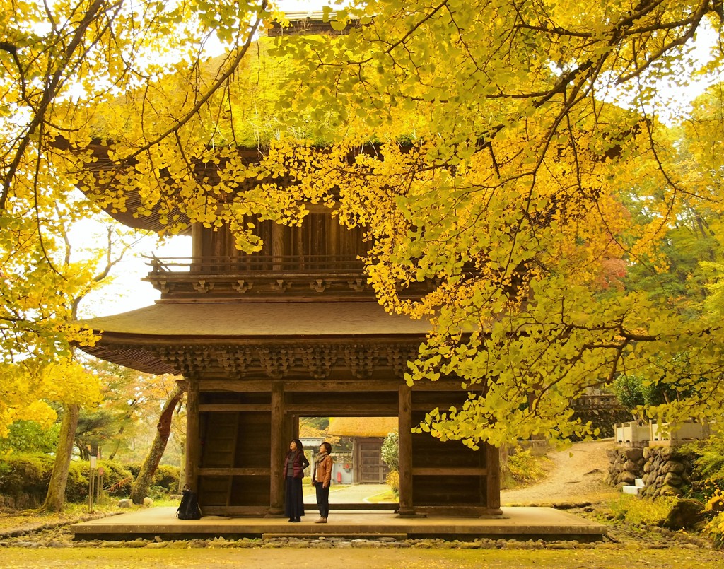 広徳寺山門