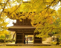 広徳寺山門