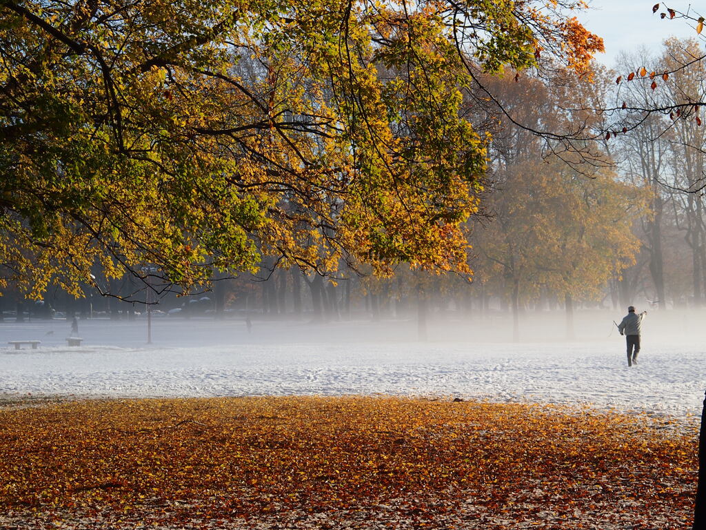 紅葉の季節の雪景色