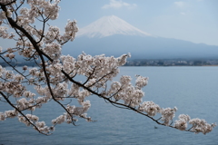 河口湖の春景色