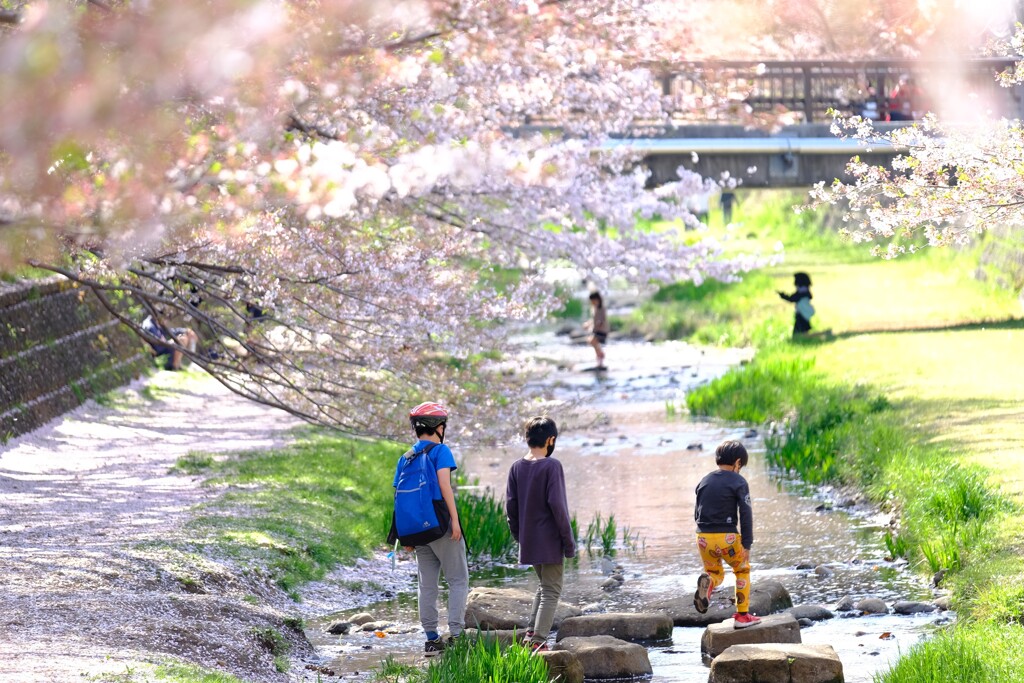 春の川遊び