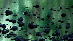 漂う小石たち