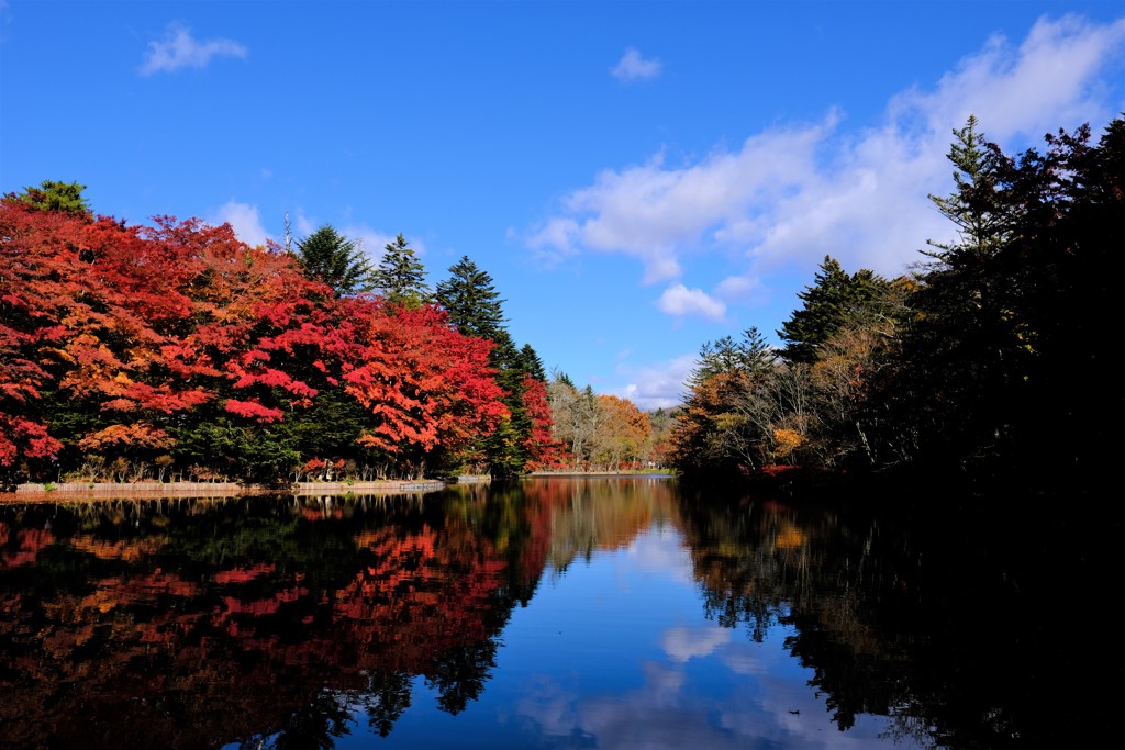軽井沢　雲場池