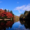 軽井沢　雲場池