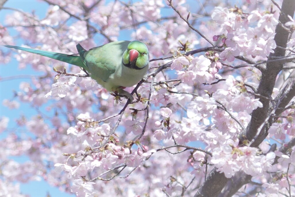 ほどほどでお願いします