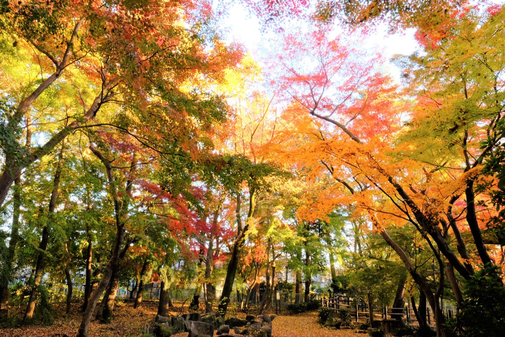 浴恩館公園