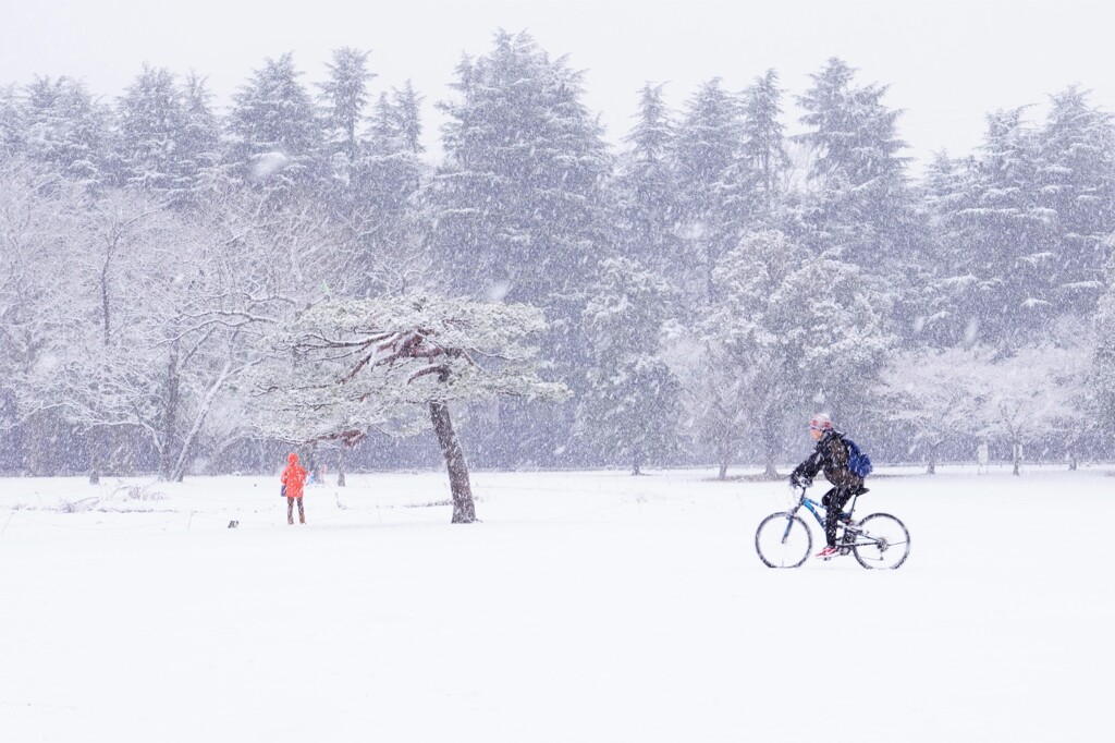 まさかの大雪