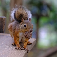 いま、食事中で忙しいんだよね～♪