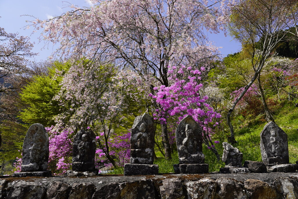 里山の春