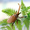 カブトムシ