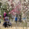 何気ない幸せ
