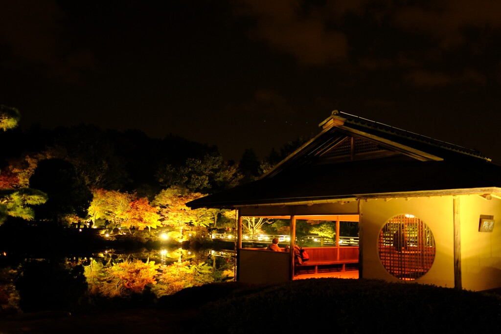 秋の夜散歩