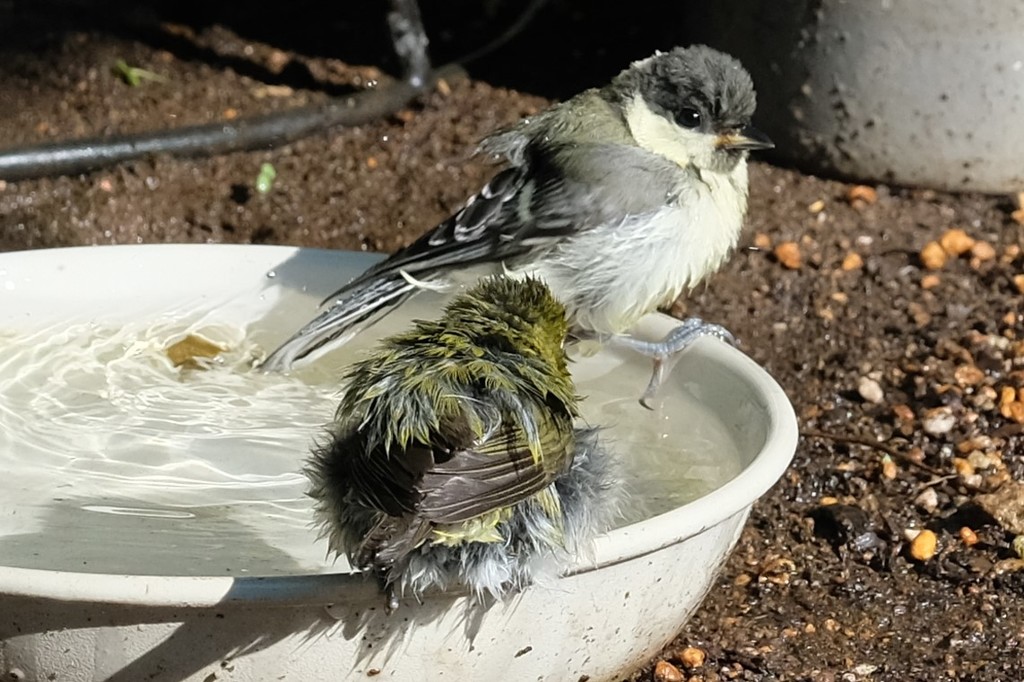 あ～、気持ちよかったぁ～♡