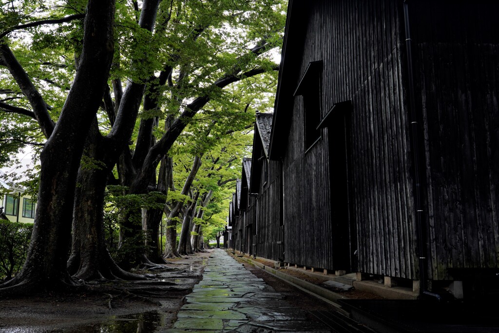 雨の石畳