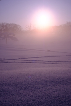 雪原