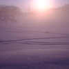 雪原