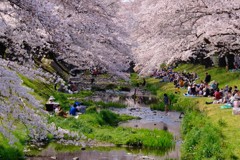 のどかな休日