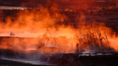 多摩川の川霧