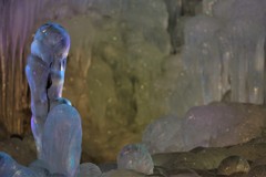 小枝についた氷の塊