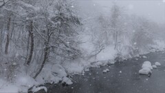裏磐梯雪景