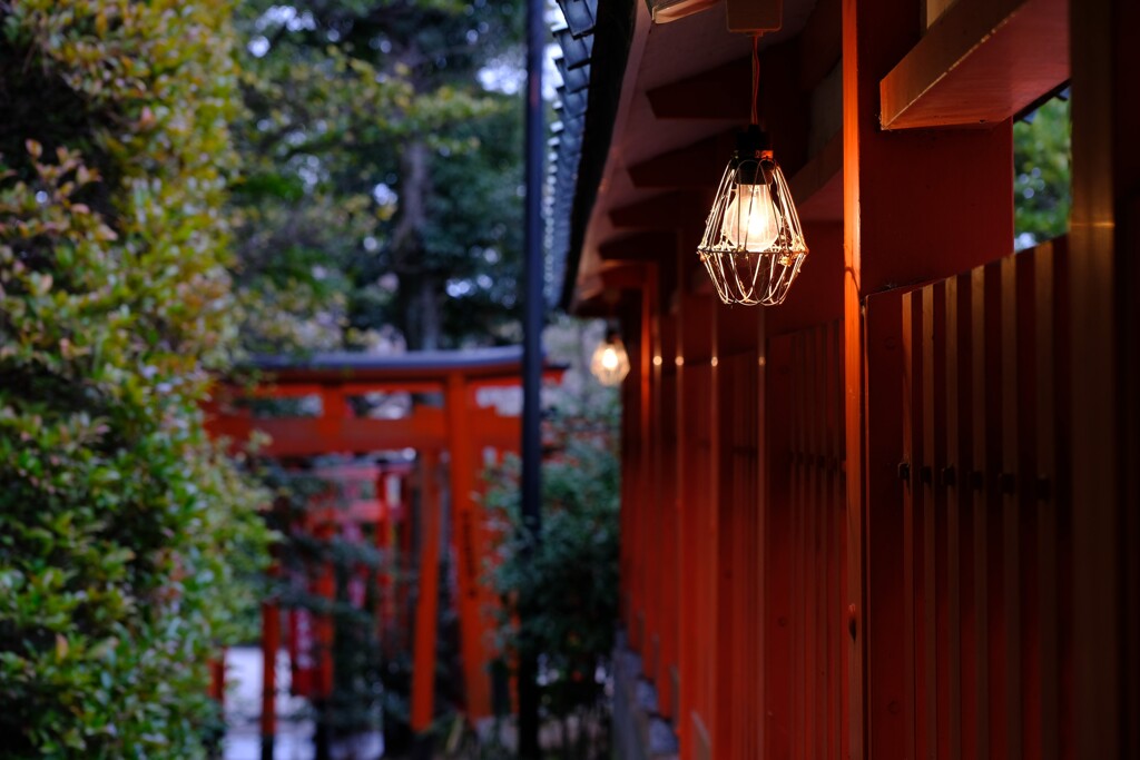 鳥居の見える風景