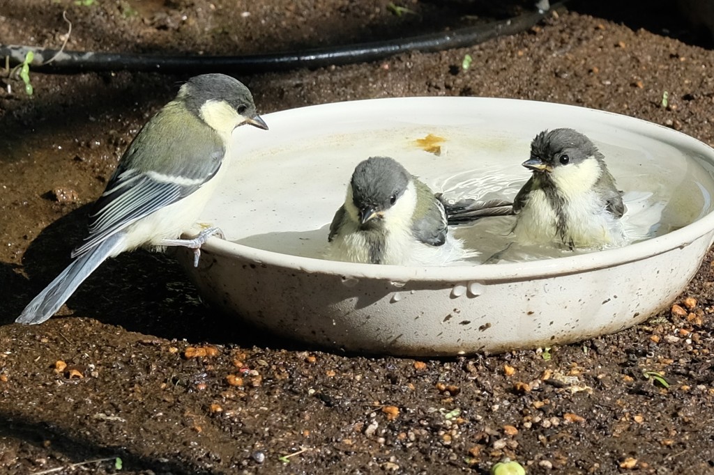そんなところで～