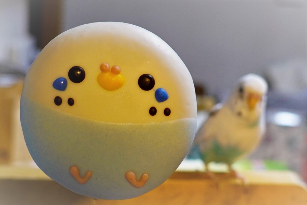 なんだろう？