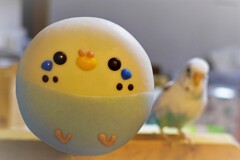なんだろう？