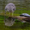 まだまだ油断なりませぬ・・・。