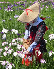 花摘み
