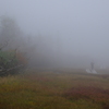 濃霧の栂池