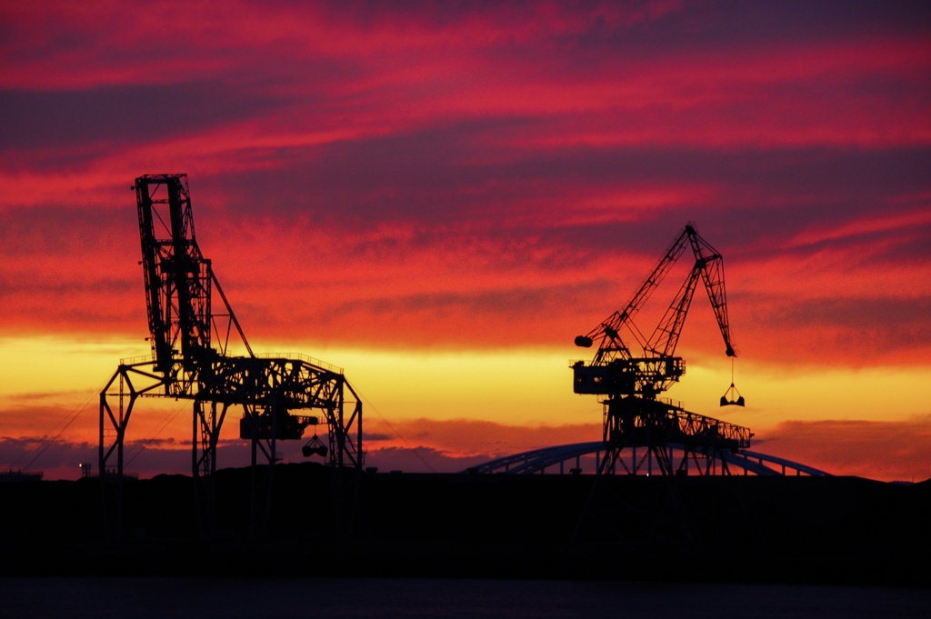 海キリンの侵略