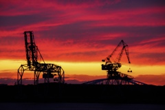 海キリンの侵略