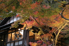 紅葉