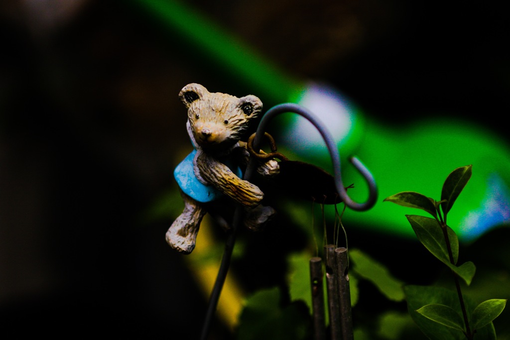 小さな小さなご近所さん(^.^)