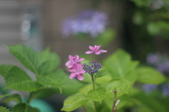 雨の土曜日