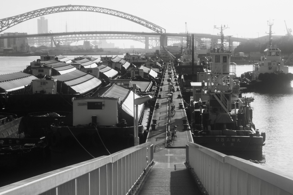 桟橋