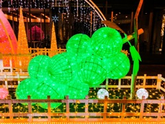 Muscat