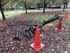 いまだに残る台風21号の爪痕