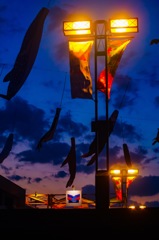 夜空に泳ぐ甚平鮫  (二)