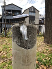 アレ〜首が痛い(´༎ຶོρ༎ຶོ`)