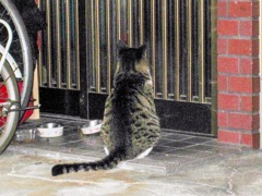御飯まだかなぁ〜(#^.^#)