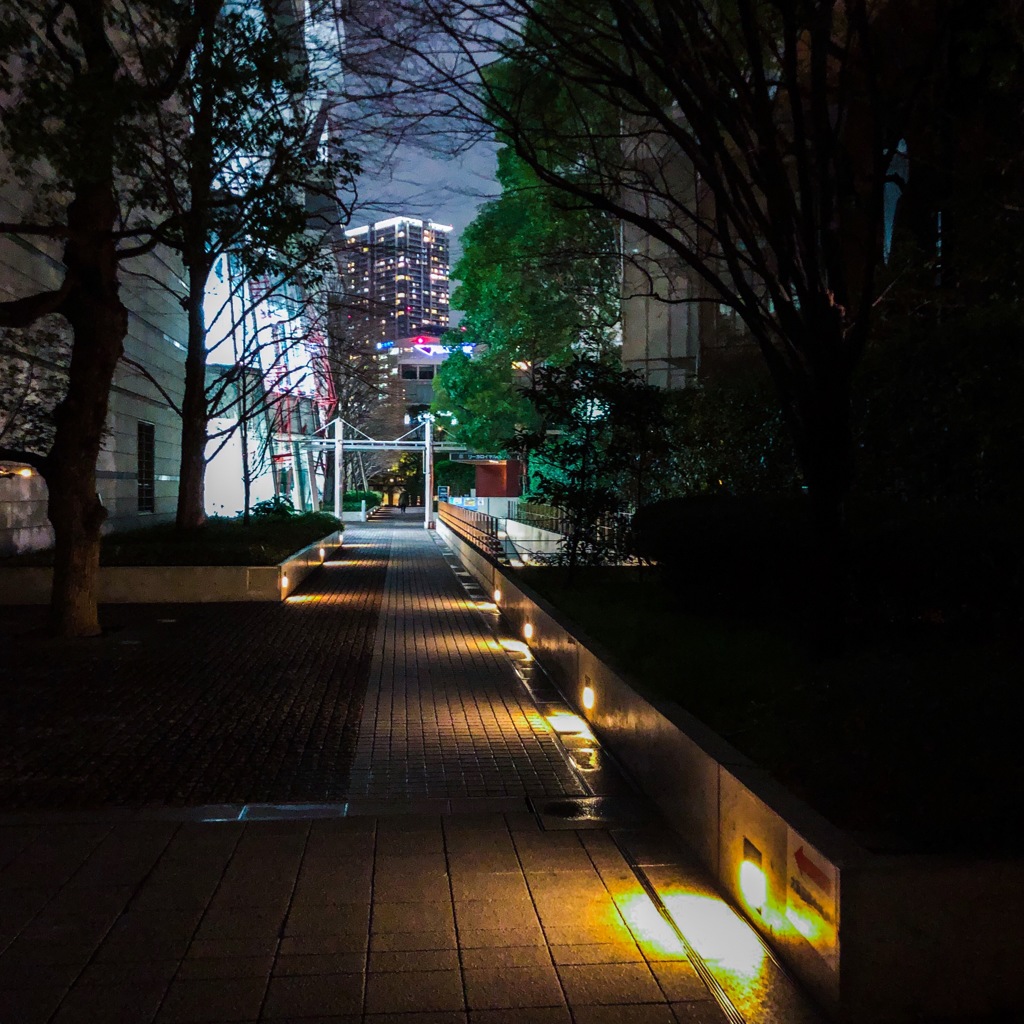通り道を・・・