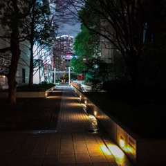 通り道を・・・