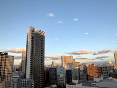 台風一過