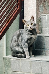 ママ！御飯まだ(^^;;