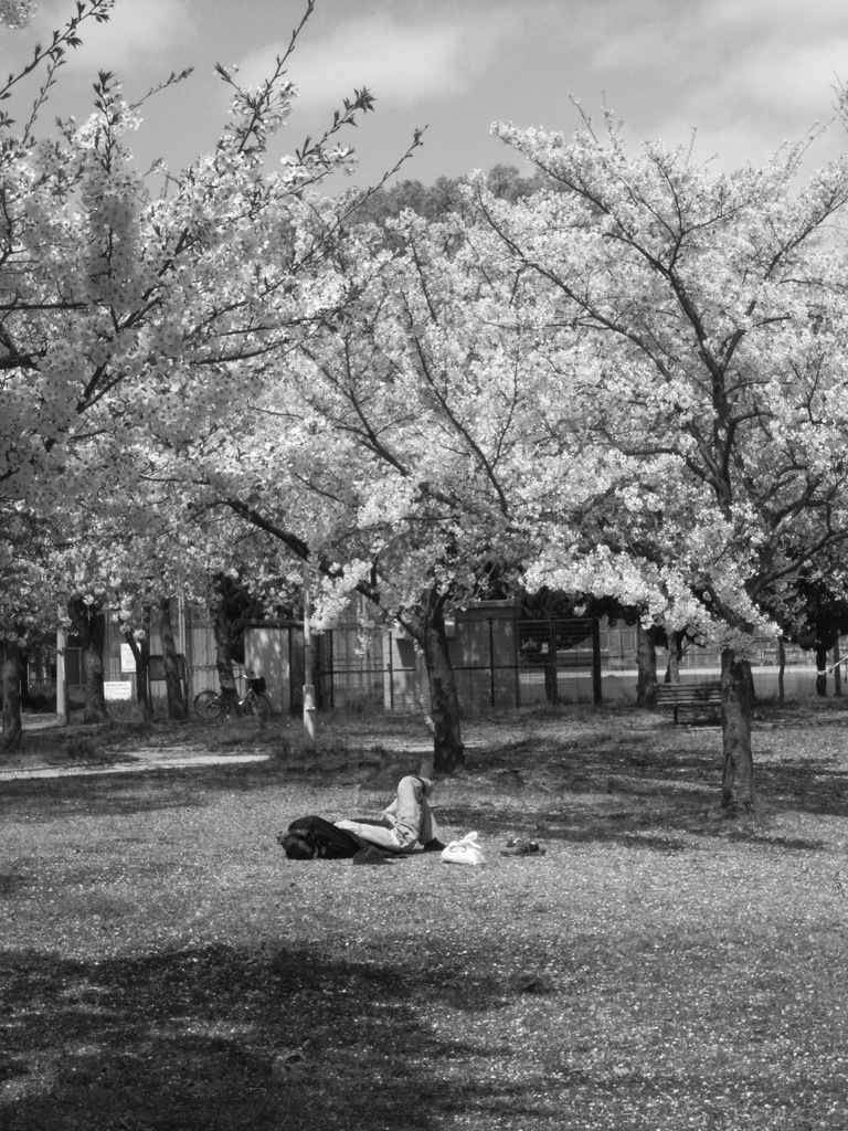 I want to take a nap