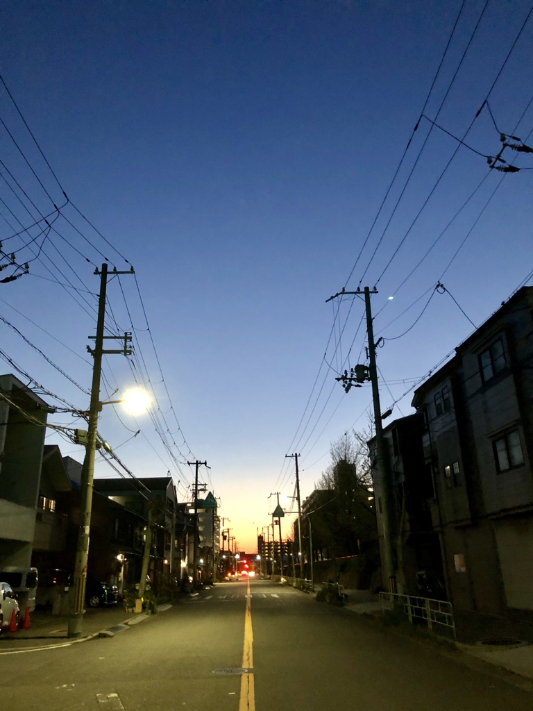 家に帰ろう( ◠‿◠ )